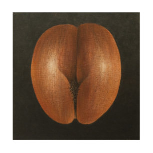 Coco de Mer 2010 Wood Wall Art