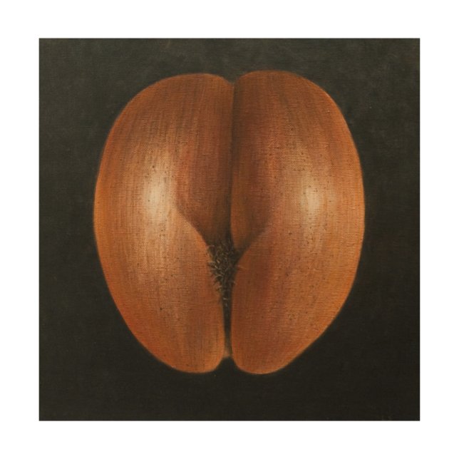 Coco de Mer 2010 Wood Wall Art (Front)