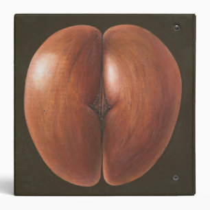 Coco de Mer Maldives 2012 3 Ring Binder