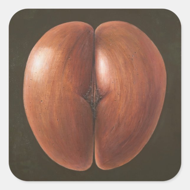 Coco de Mer Maldives 2012 Square Sticker (Front)