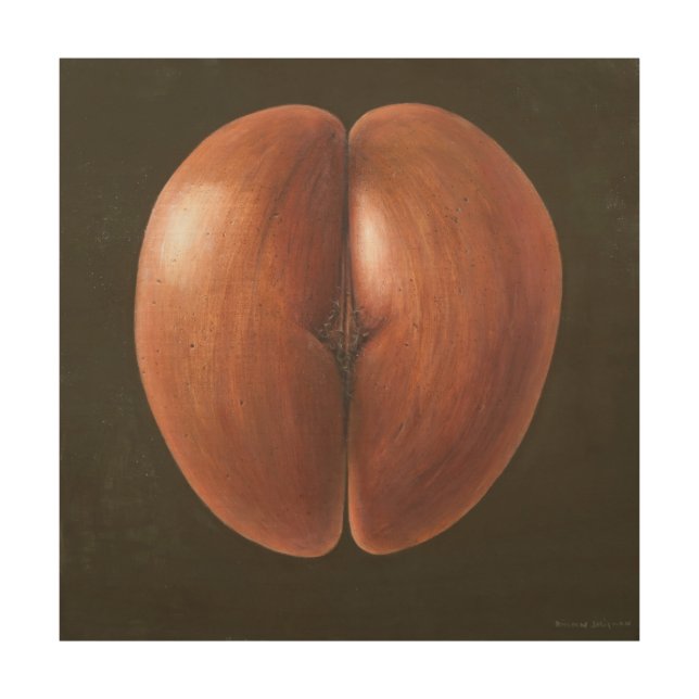 Coco de Mer Maldives 2012 Wood Wall Art (Front)