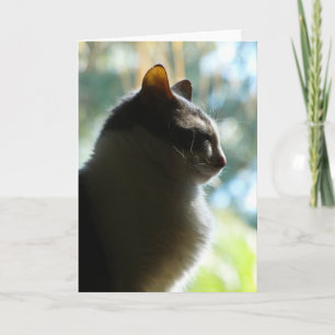 "Coco in the Window." Greeting Card