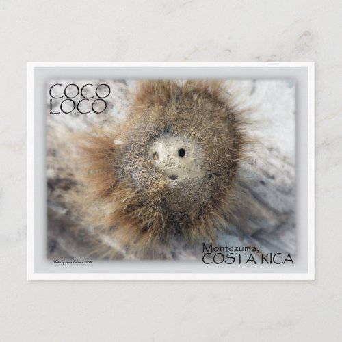 COCO LOCO NUT POSTCARD