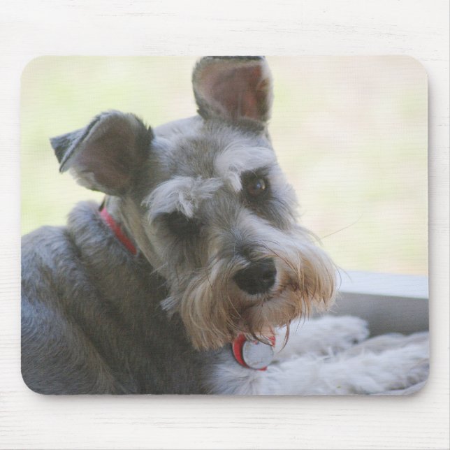 Coco, mini Schnauzer mousepad (Front)
