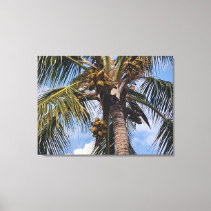 COCO PALM CANVAS PRINT