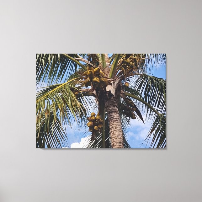 COCO PALM CANVAS PRINT (Front)