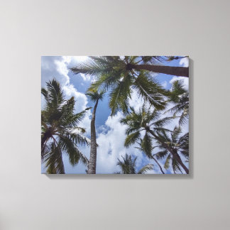 COCO PALMS #2 ON CANVAS     20 "x 16" Print