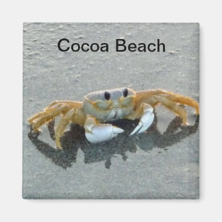 Cocoa Beach Crab Photo Magnet Florida