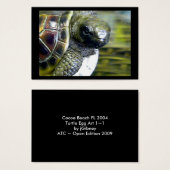 Cocoa Beach Fl Turtle Egg Art1 jGibney ACT-Open Ed (Front & Back)