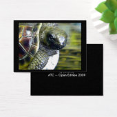 Cocoa Beach Fl Turtle Egg Art1 jGibney ACT-Open Ed (Desk)