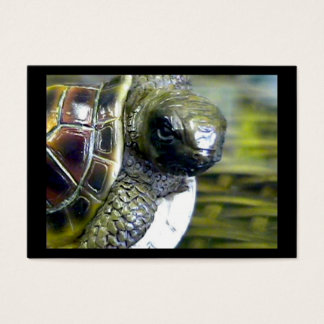 Cocoa Beach Fl Turtle Egg Art1 jGibney ACT-Open Ed