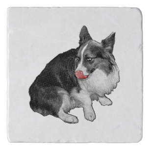 Cocoa Break, Scarlet Tip Trivet