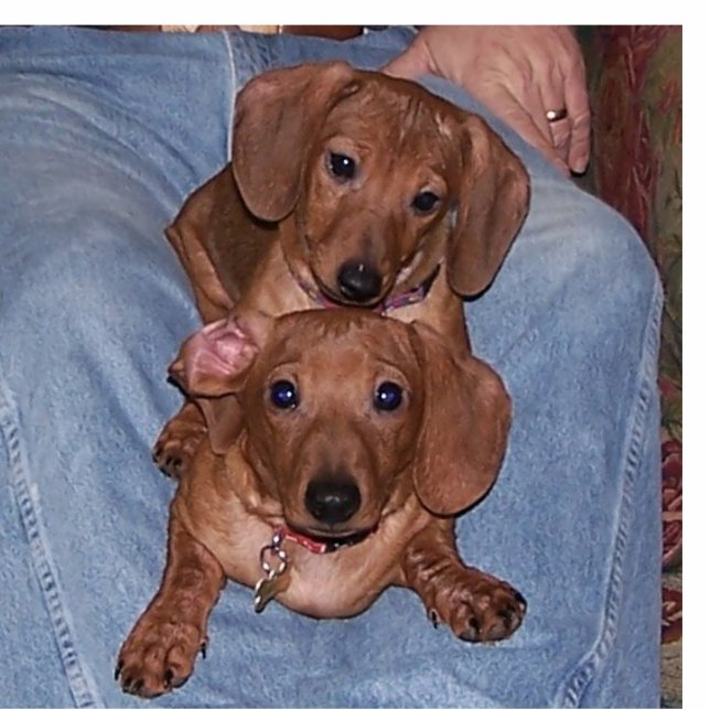 Cocoa & Nutmeg Statuette (Front)