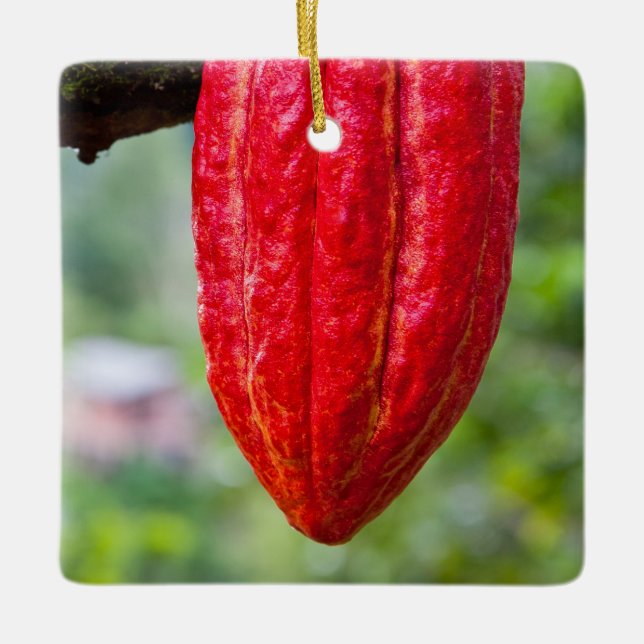 cocoa pod red ceramic ornament (Front)