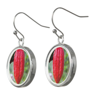 cocoa pod red earrings