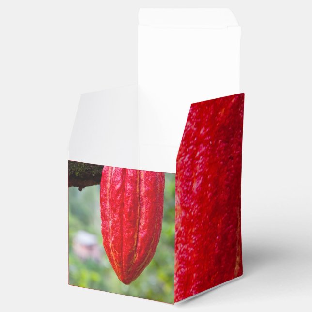 cocoa pod red favor boxes (Opened)