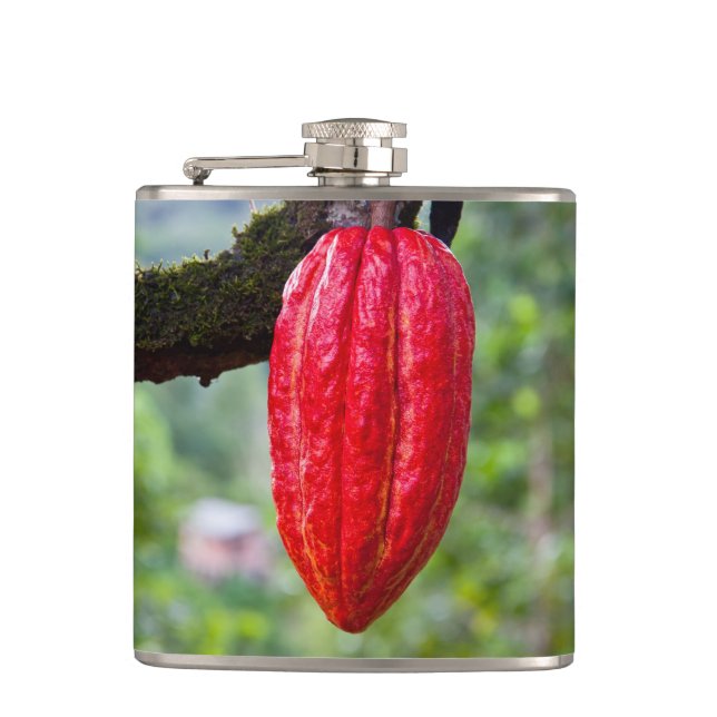 cocoa pod red flask (Front)