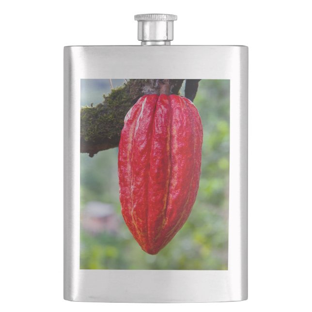 cocoa pod red flask (Front)