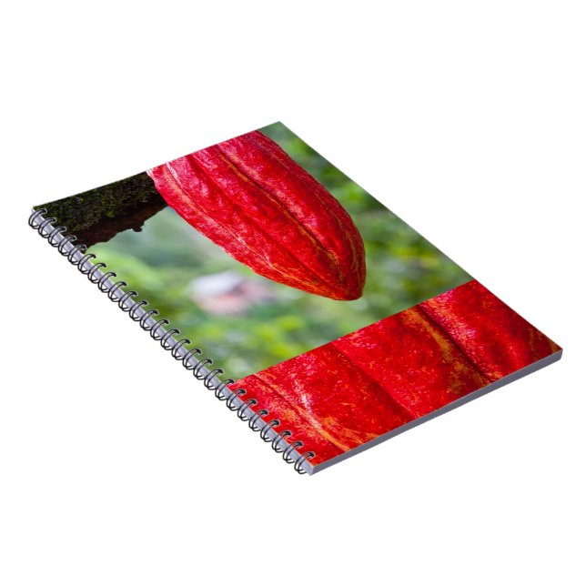 cocoa pod red notebook (Right Side)