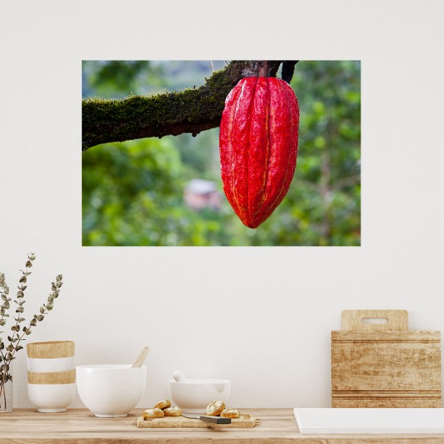 cocoa pod red poster (Kitchen)