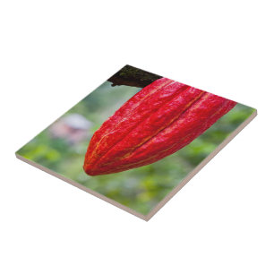 cocoa pod red tile