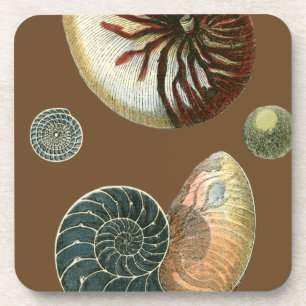 Cocoa Shell Beverage Coaster