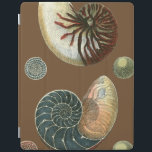 Cocoa Shell iPad Smart Cover<br><div class="desc">Get this unique stonewashed red and blue Conch seashell image on your next product. This amazing,  cocoa background these two unique seashells. Take the beach with you everywhere you go.</div>