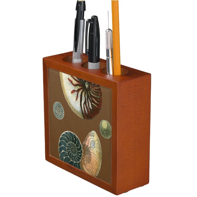 Cocoa Shell Pencil/Pen Holder (In Situ)