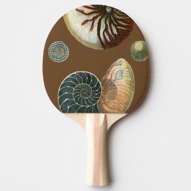 Cocoa Shell Ping-Pong Paddle (Front)