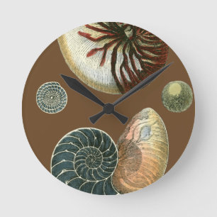 Cocoa Shell Round Clock