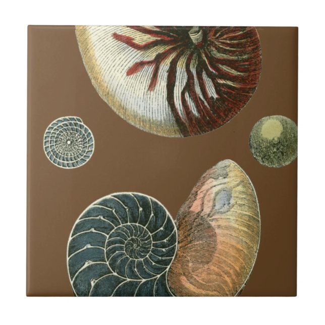 Cocoa Shell Tile (Front)