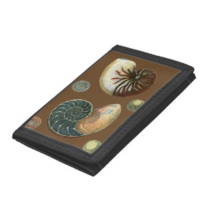 Cocoa Shell Tri-fold Wallet