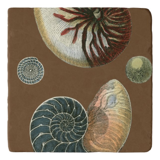 Cocoa Shell Trivet (Front)