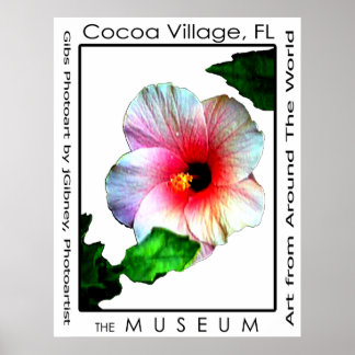 Cocoa Village Poster Hybiscus p3 The MUSEUM Zazzle