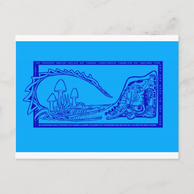 cocodrilo postcard (Front)