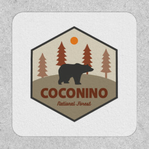 Coconino National Forest Bear Patch
