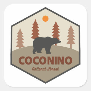 Coconino National Forest Bear Square Sticker