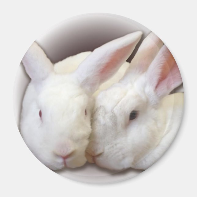 Coconut and Frosty Rescue Buns Magnet (Front)