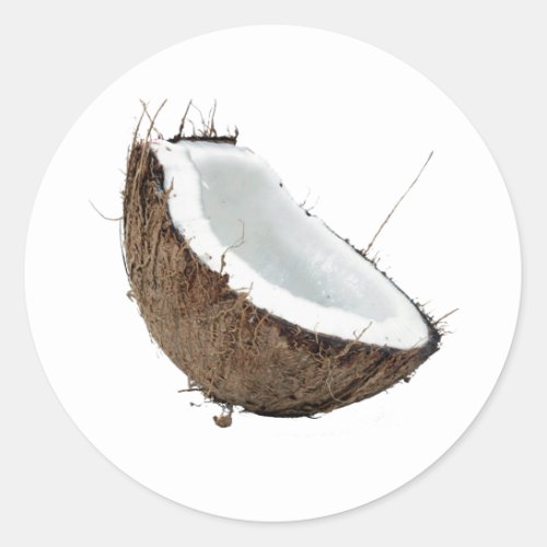 Coconut Classic Round Sticker