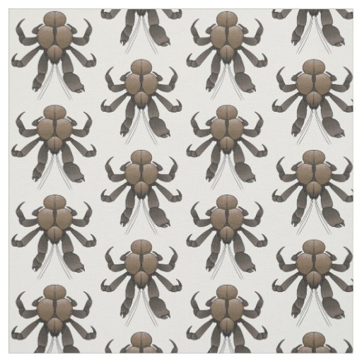 Coconut crab cartoon illustration fabric