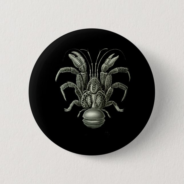 Coconut Crab Pinback Button (Front)
