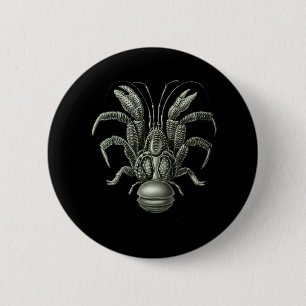 Coconut Crab Pinback Button