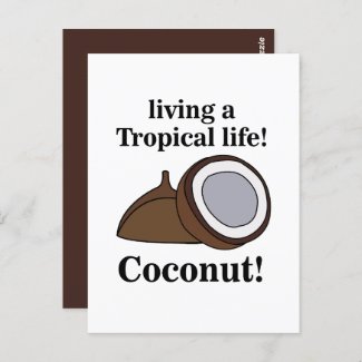 Coconut Fruit Tropical 