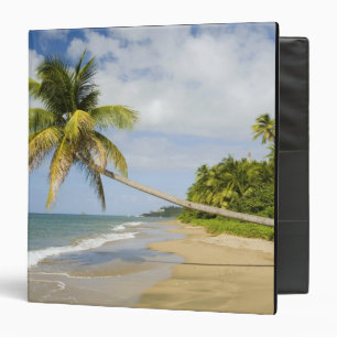 Coconut Grove Beach at Cades Bay, with St. 2 Binder