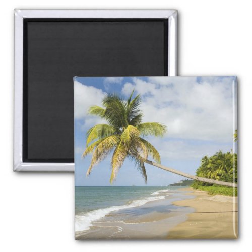 Coconut Grove Beach at Cades Bay with St 2 Magnet
