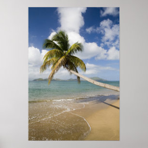 Coconut Grove Beach at Cades Bay, with St. Poster