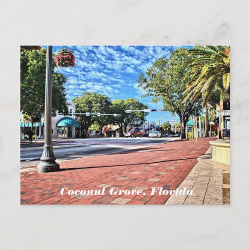 Coconut Grove Florida Postcard