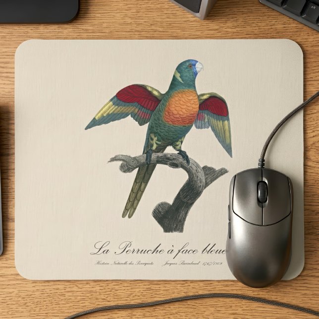 Coconut Lorikeet, Trichoglossus haematodus Mouse Pad (Coconut Lorikeet, Trichoglossus haematodus. Mouse Pad)