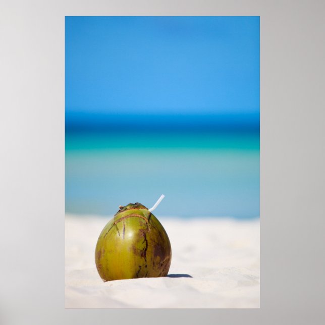 Coconut on the beach poster (Front)