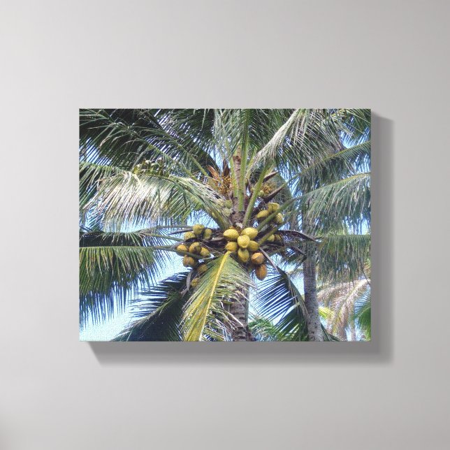 Coconut Palm 8x10" Canvas Print (Front)
